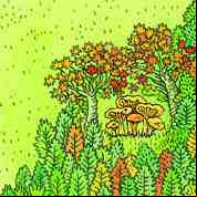 mushrooms