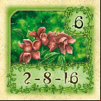 garden garden